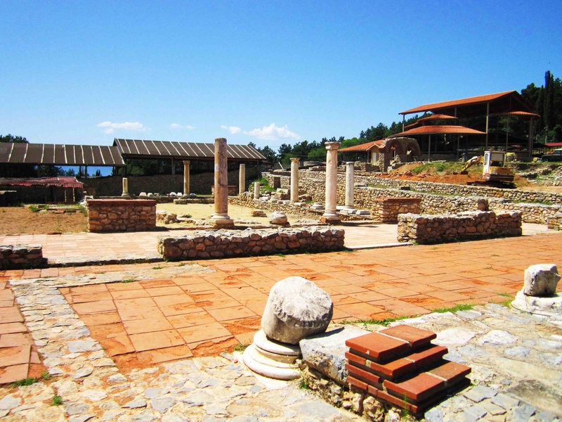 Plaošnik