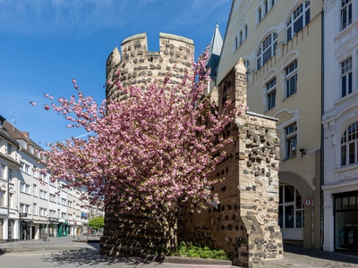 (Preserved to ensure no non-German languages are listed)