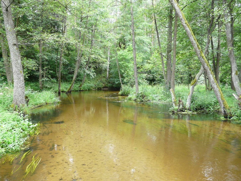 Ratnyčia