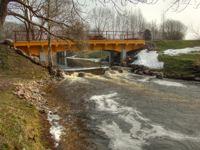 Ringuva