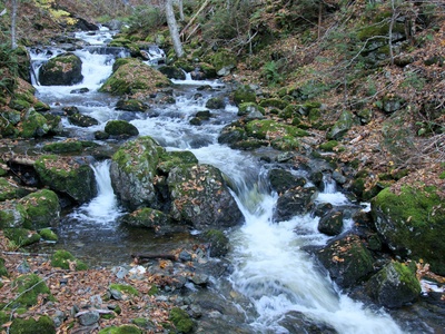River Ban