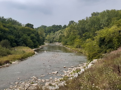 River Bush