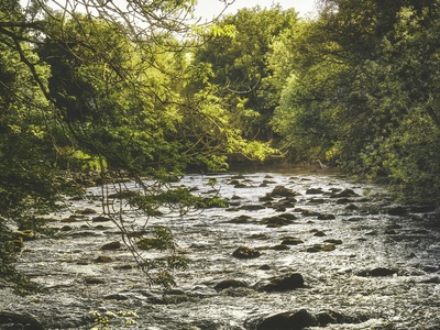 River Roe