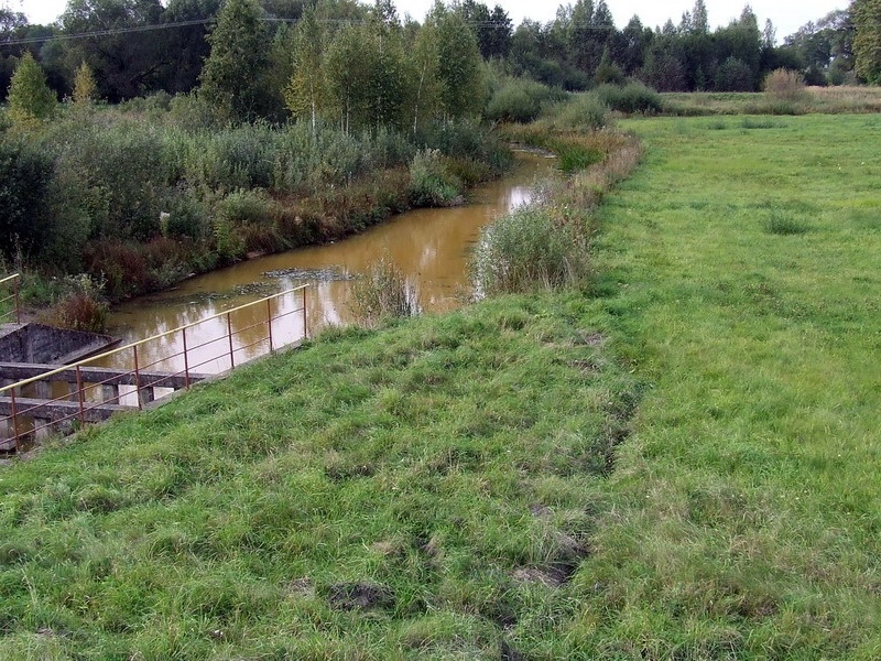 Rovėja