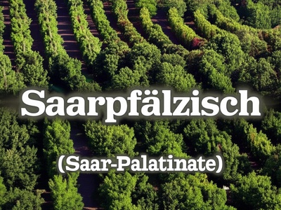 Saarpfälzisch (Saar-Palatinate)