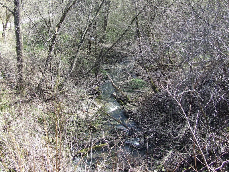 Sąnaša