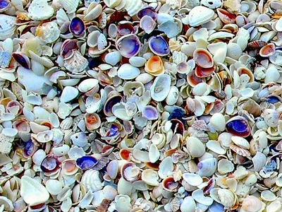 Sanibel