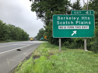 Scotch Plains