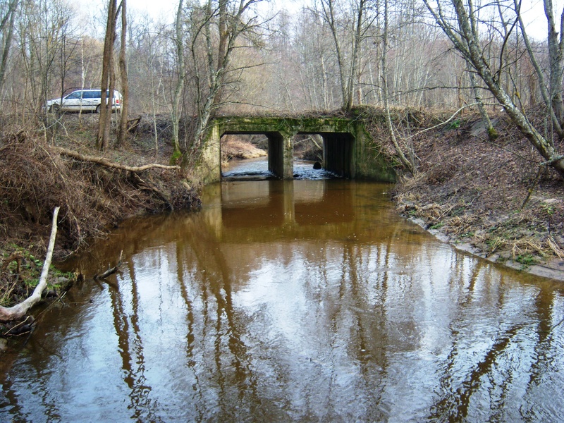 Šešuvis