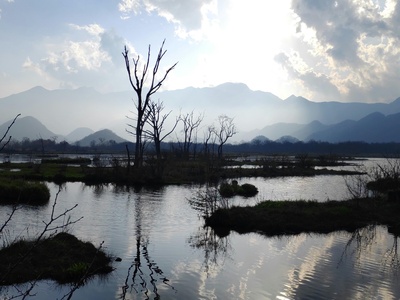 Shadow Lake