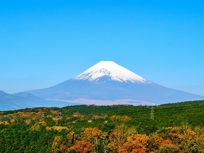 Shizuoka