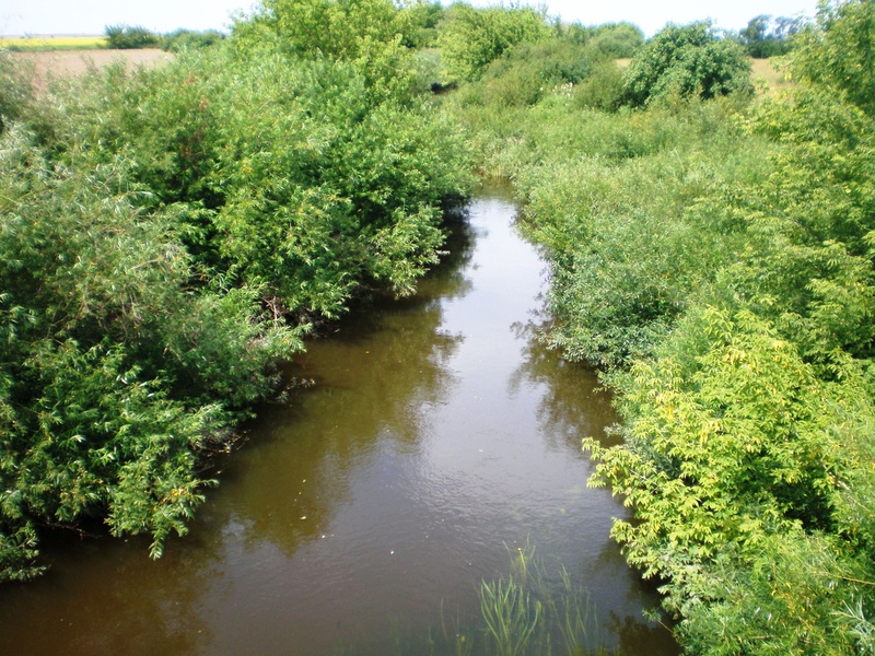 Širvinta