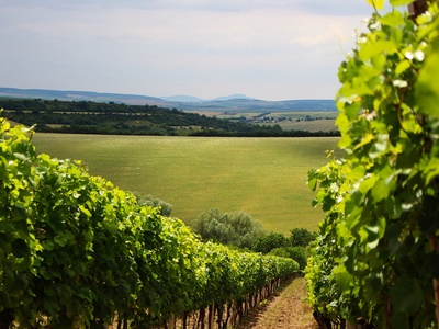 South Moravian