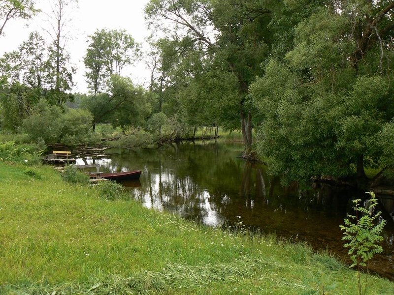 Srovė