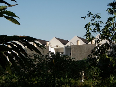 Suncoast Estates