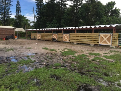 Sunshine Ranches
