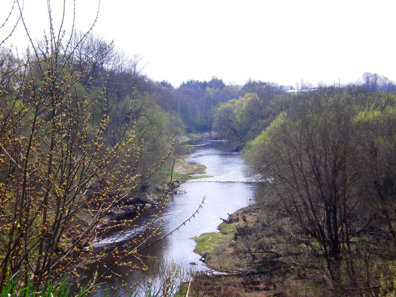Šušvė