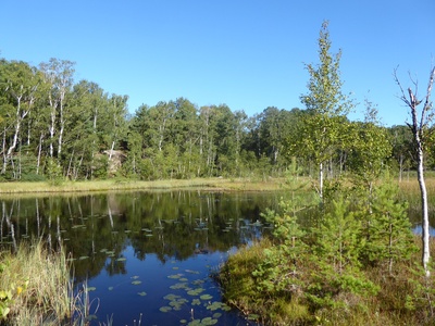 Sweden
