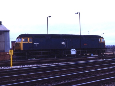 Swindon