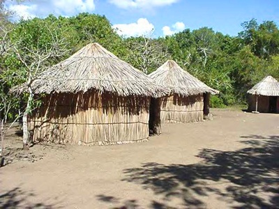 Taíno (Indigenous)