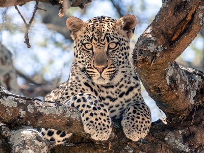 Tanzania