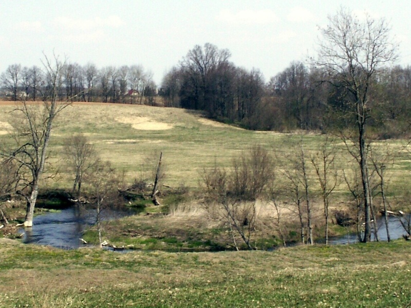 Tatula