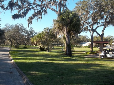 Temple Terrace