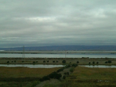 The Grey's Bay
