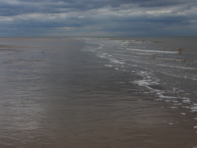 The Wash