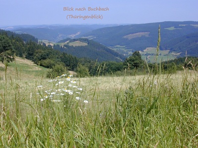 Thüringisch (Thuringian)