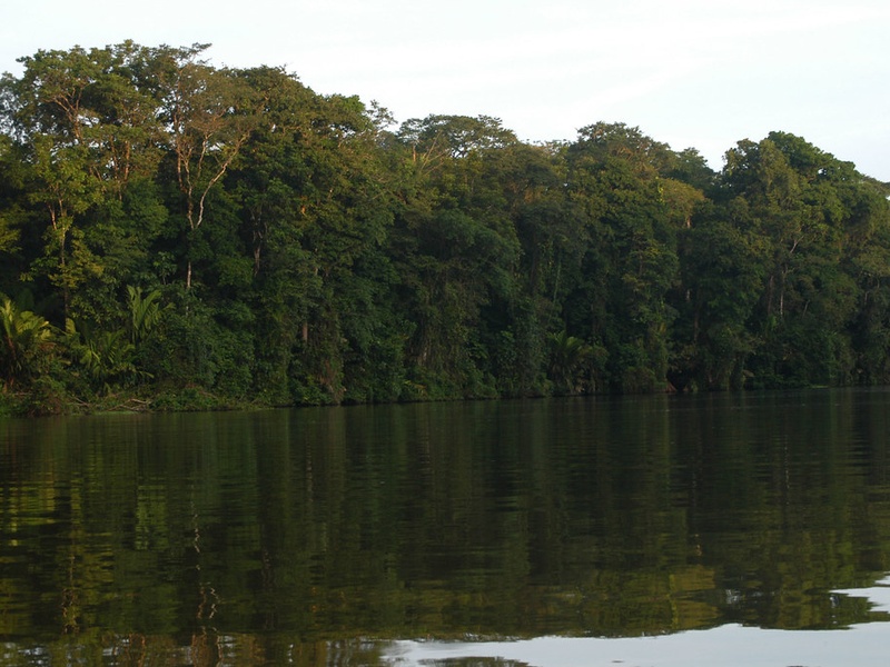 Tortuguero Lagoon