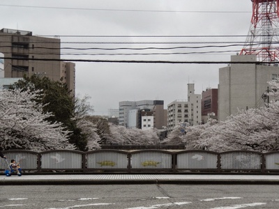 Toyama