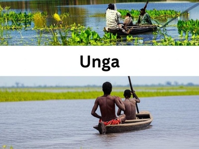 Unga