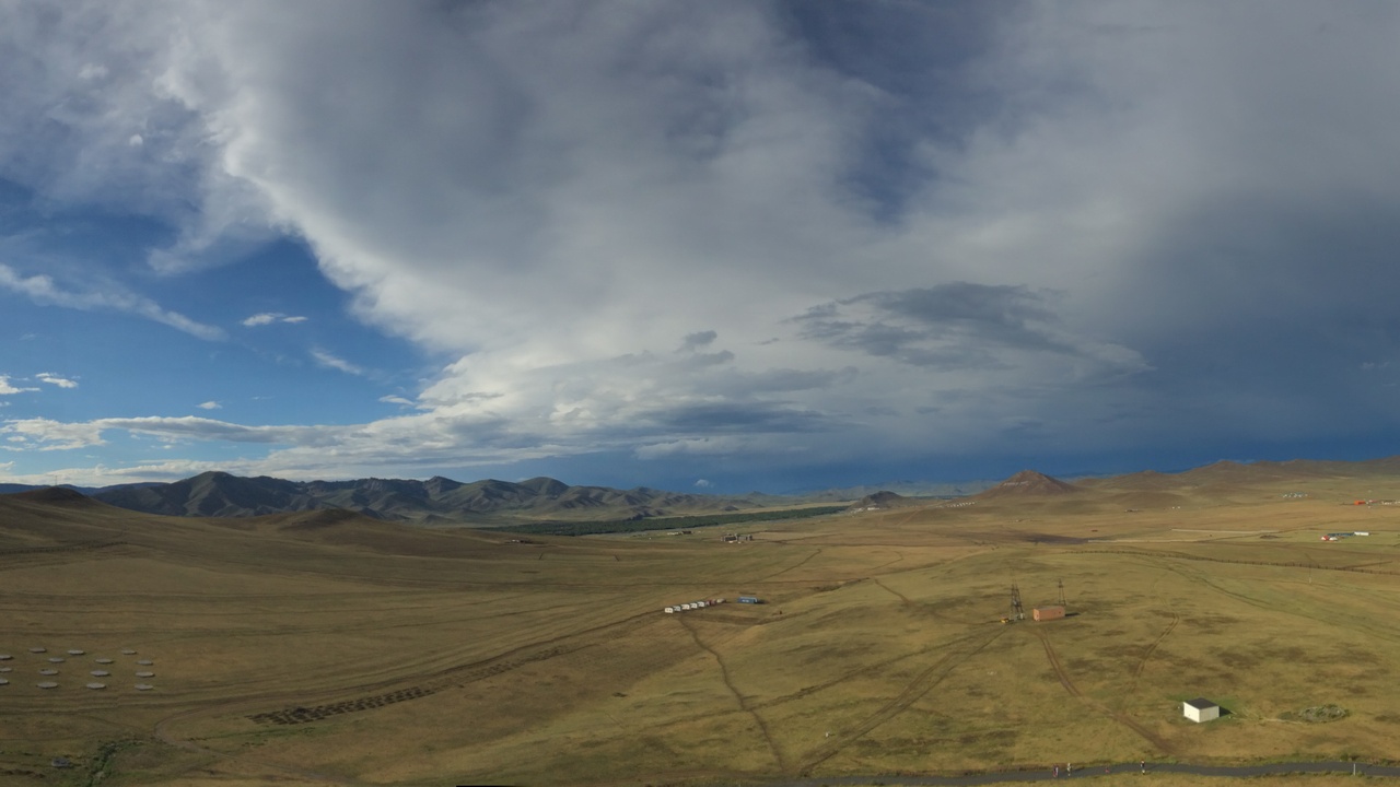 Wide view of the Mongolian steppe with grazing horses and distant hills