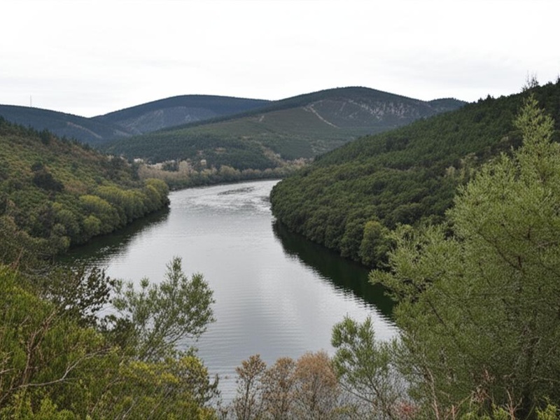 Verdugo