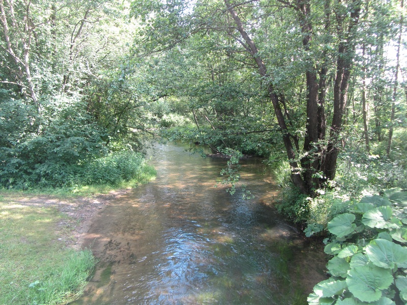 Verknė