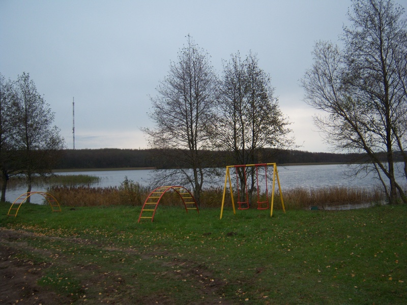 Viešinta