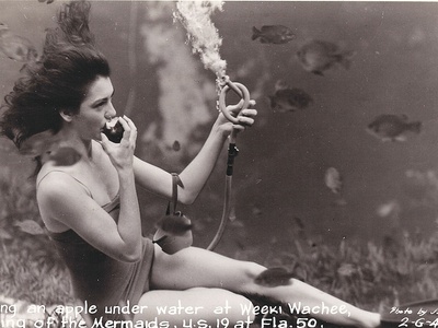 Weeki Wachee