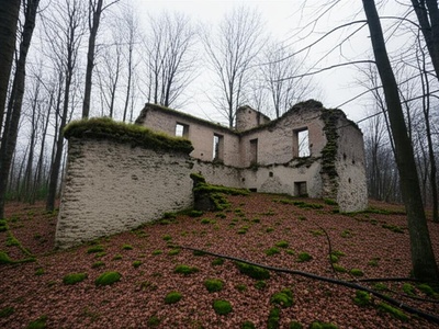 Wildhaus Mansion