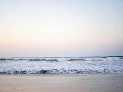Wildwood