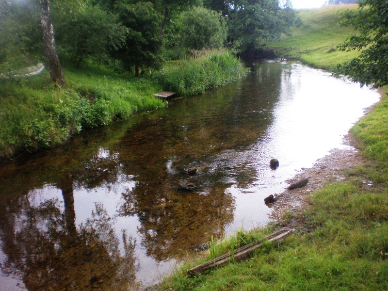 Žeimena