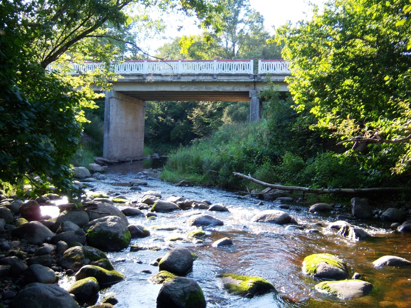 Žvelsa