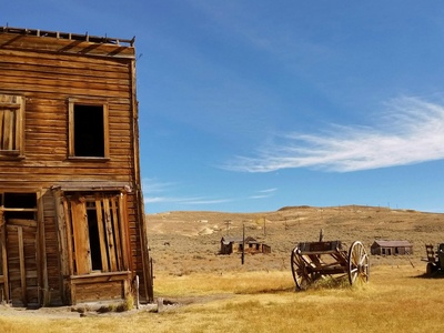 Bodie