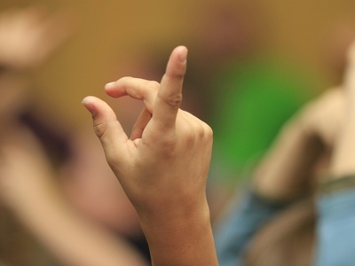 British Sign Language