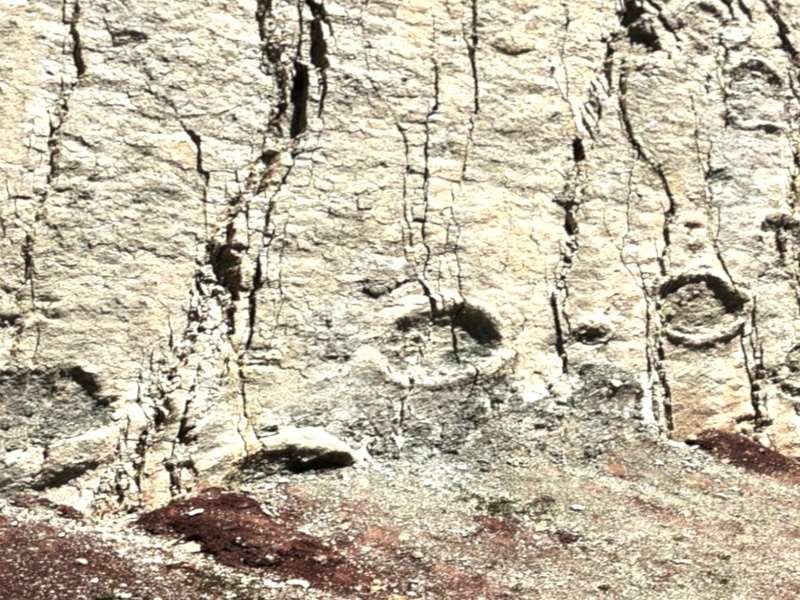 Cal Orck'o Dinosaur Footprints