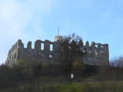 Castle Bruce Estate Ruins