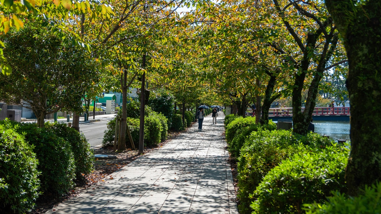 Walkable downtown with tree-lined sidewalks in a family-friendly New Jersey neighborhood