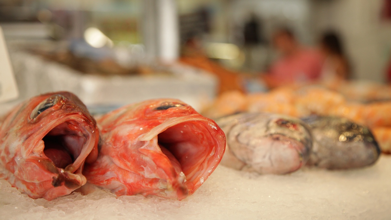 Les Halles de Biarritz market stalls and produce