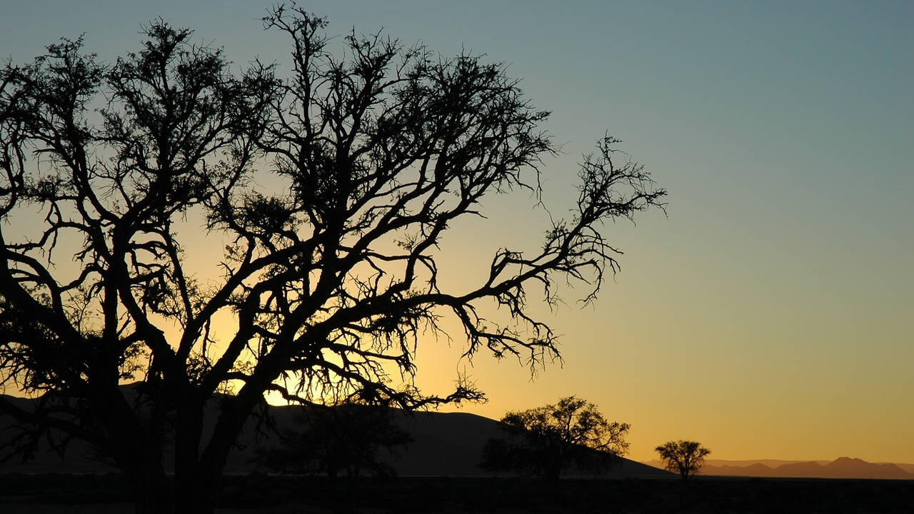 Sossusvlei sunrise over Big Daddy dune