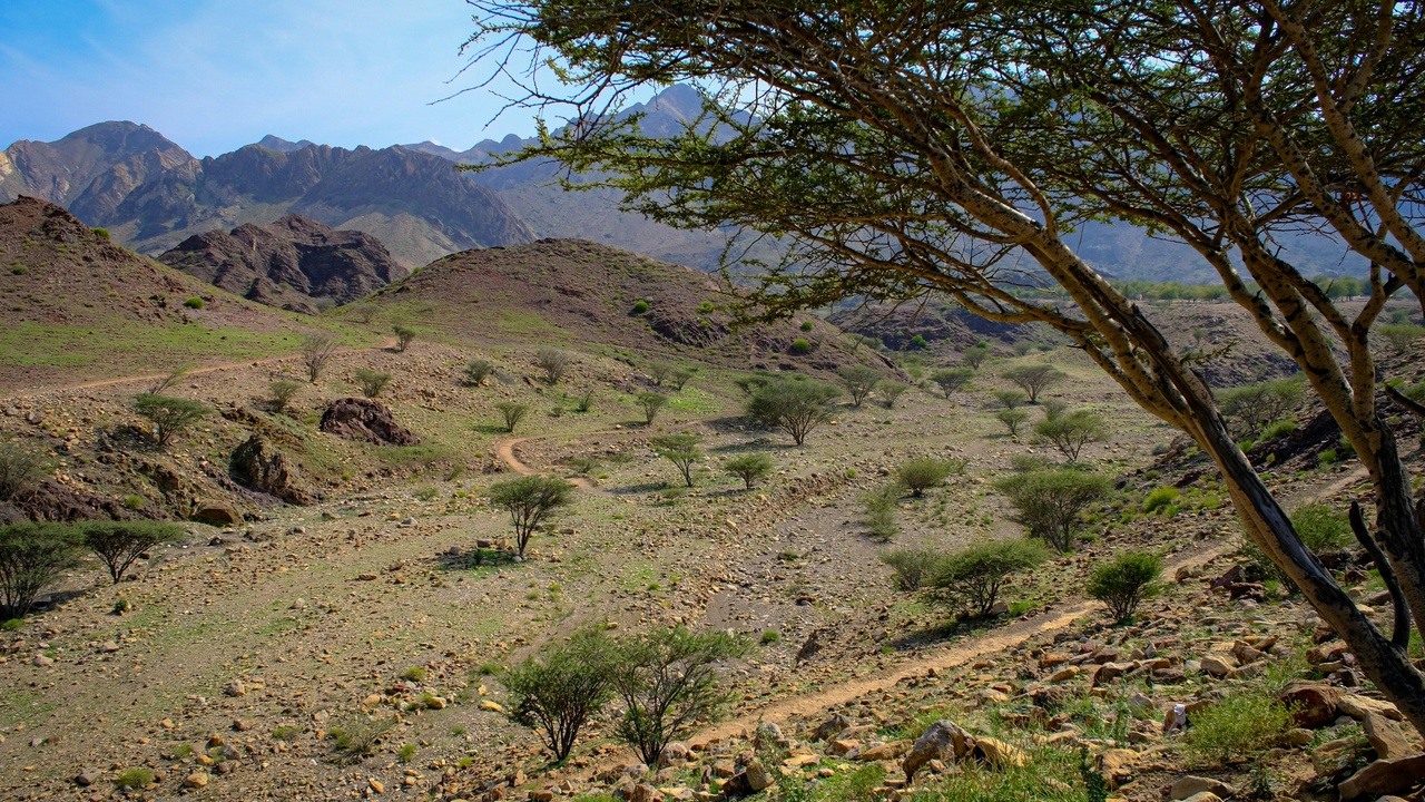 Healthy highland climate and coastal ecosystems supporting outdoor life and renewable energy prospects.